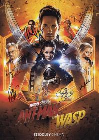 SkyMoviesHD org _-_ Ant Man and the Wasp 2018 FRENCH BDRip XviD-EXTREME