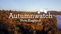 PBS Autumnwatch 2018 New England Series 1 1of3 720p HDTV x264 AAC