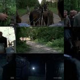 The Walking Dead S09E03 HDTV x264-SVA[rarbg]