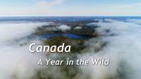 Ch5 Canada A Year in the Wild 1of4 Spring 1080p HDTV x265 AAC