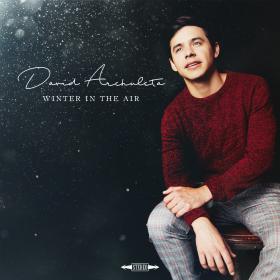 David Archuleta - Winter in the Air (320)