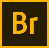 Adobe Bridge CC 2019 v9.0.1.216 (x64) + Crack [CracksNow]