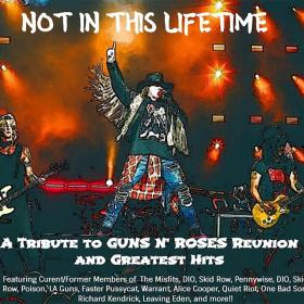 VA  - Not In This Lifetime A Tribute To Guns N Roses’ Reunion & Greatest Hits (2018)