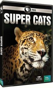 PBS Nature Super Cats Series 1 1of3 Extreme Lives 1080p HDTV x264 AAC