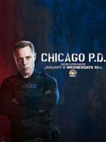 Chicago P D S06E07 VOSTFR HDTV XviD-EXTREME