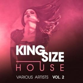 VA-King_Size_House_Vol_2
