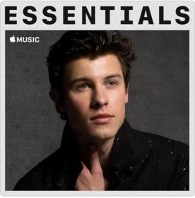 Shawn Mendes - Essentials (2018) 320