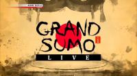 NHK Grand Sumo Live November 2018 720p HDTV x265 AAC MVGroup Forum