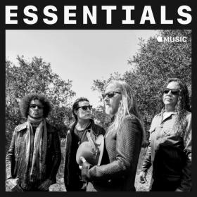 Alice In Chains - Essentials (2018) Mp3 320kbps Songs [PMEDIA]
