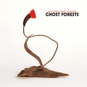 (2018) Meg Baird & Mary Lattimore - Ghost Forests [FLAC,Tracks]
