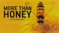 More than Honey 1080p HDTV x264 AAC