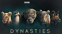 BBC Dynasties Series 1 3of5 Lion 1080p HDTV x264 AAC