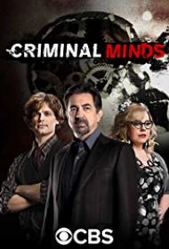 Criminal.Minds.S14E09.720p.HDTV.x264-300MB