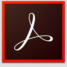 Adobe Acrobat Pro DC 2019.010.20064 + Crack [CracksNow]