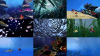 Kaluoka hina The Enchanted Reef 2004 1080p BluRay x264-RUSTED[rarbg]
