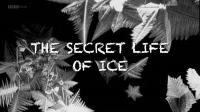 BBC The Secret Life of Ice 1080p HDTV x265 AAC