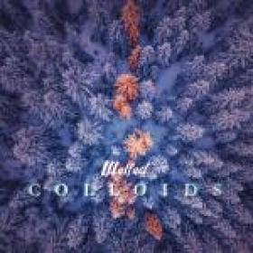 Walfad (Poland) - Colloids (2018) [MP3@320kbps]