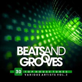 VA-Beats_And_Grooves_(30_Top_House_Tunes)_Vol_3