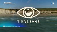TV5Monde Thalassa 2019 De Boulogne a Calais 720p HDTV x265 AAC