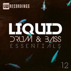 VA-Liquid_Drum_and_Bass_Essentials_Vol_12