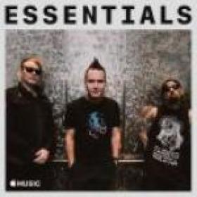Blink-182 - Essentials (2019) Mp3 320kbps Songs [PMEDIA]