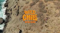 Wild Chile Series 1 1of3 Land 1080p HDTV x264 AAC