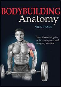 Bodybuilding Anatomy