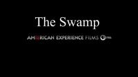 American Experience The Swamp 720p HDTV x264 AAC