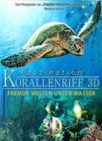 Faszination Korallenriff  Vol 2 3D 2011 [1080p BluRay x264 HOU AC3-Ash61][RUS-ENG]