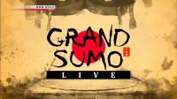 NHK Grand Sumo Live January 2019 720p HDTV x265 AAC MVGroup Forum