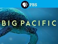 Big Pacific 2017 S01 2160p BluRay REMUX HEVC SDR DTS-HD MA 2 0-FGT