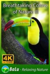 Breathtaking Colors of Nature in 4K III Sleep Relax Meditation Music UHD_Master5