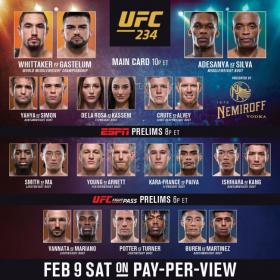UFC 234 Prelims HDTV x264-PUNCH[TGx]