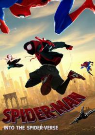 ExtraMovies host - Spider-Man Into the Spider-Verse (2018) Dual Audio [Hindi-Cleaned] 720p HDRip ESubs