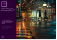 Adobe Premiere Pro CC 2019 v13.0.3.9 (x64) Multilanguage