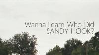 Wanna Learn Who Did SANDY HOOK 720p