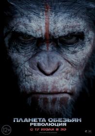 Dawn of the Planet of the Apes (2014) BDRip 1080p [HEVC]10bit