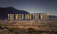 The Wild And The West 2006 HDTVRip XviD mp2 742mb YTN