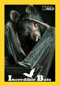NGW_Incredible Bats HDTVRip [Kaztorrents]