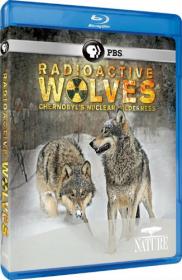 PBS Nature Radioactive Wolves 2011 x264 BDRip (AVC) by F-Torrents
