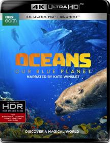 Oceans Our Blue Planet 2018 2160p BDRemux HEVC x265 HDR 10bit Master5