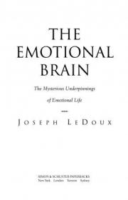 The Emotional Brain - The Mysterious Underpinnings of Emotional Life
