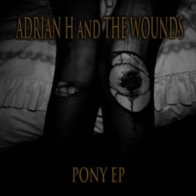 Adrian H And The Wounds - Pony (2017) [EP]