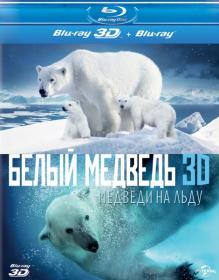 Polar Bears A Summer Odyssey D 2012 HDRip