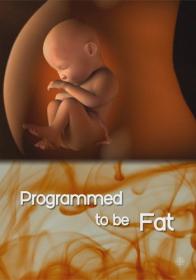 The Nature of Things Programmed to Be Fat HDTVRip [Kaztorrents]