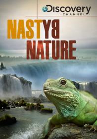 Nasty By Nature 2008 x264 HDTVRip (AVC) by HD-NET