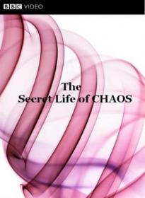 BBC The Secret Life of Chaos PDTV x264