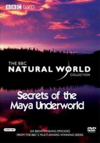 BBC_Natural World_Secrets of the Maya Underworld HDTVRip by RockeT [Virtus & KazTorrentS]