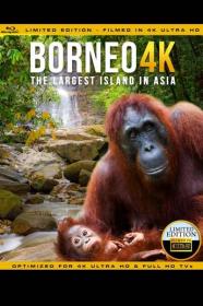 Borneo The Fascination of Asia 2017 DOCU BRRip x264-FGT[TGx]