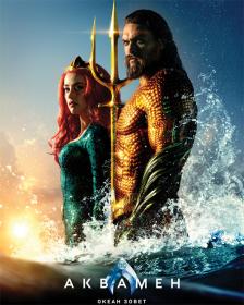 Aquaman.2018.Lic.IMAX.BDREMUX.1080p.seleZen